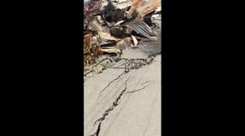 The village of Balaroa destroyed by Palu Earthquake and liquefaction. Houses disappeared as the ground shook and raised 5 metres. Thousands still missing in this one village.