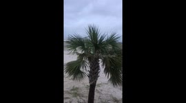 In anticipation of Hurricane Michael