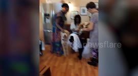 Dogs get married at an American home for the elderly