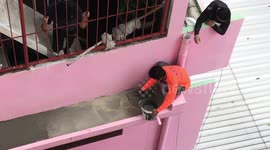 Thai man in flip-flops squats on 50ft high narrow ledge to do DIY home repairs