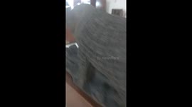 Ancient Stranger sculpture in musiam.