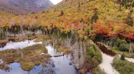Mavic Air fall foliage in NH
