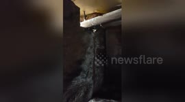 Newsflare Edit - Roof