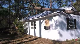 Huge pine tree crashes into bedroom of Florida home