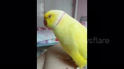 temp