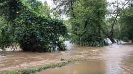 Dramatic footage shows heavy flooding in North Carolina after Michael