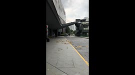 Leaves dance in gentle circular motion as tornado-like swirl blows