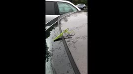 That moment the drinks kick in after a night out with your mates