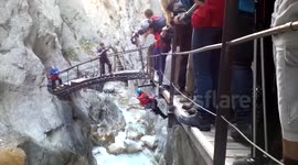 Dog rescued from a gorge in Germany