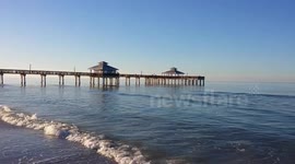 Florida beachgoer spots dolphin swimming in the shallows