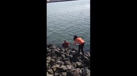 Brave baseball fan rescues match tickets from San Francisco Bay