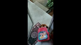 Maggie's first day of obedience school.  They gorw up so fast...