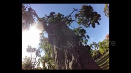 HOW TO MAKE A VIRAL VIDEO!!! [Viva Frei]