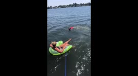 Dogs first time swimming