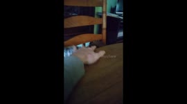 Razzy attack....RazzAttack