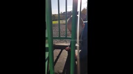 Little boy falls over at park
