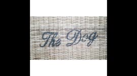 Now i understand why we have a dog