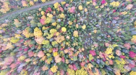 [4K] Stunning Drone Footage: Peak Fall Foliage | Western Newfoundland