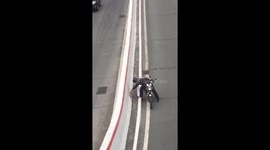 Hero motorcyclist rescues injured puppy on busy road