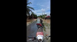 Flood Cover Road and Palm Plantation in Pasaman Barat, West Sumatera, Indonesia