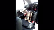 temp