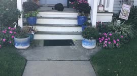 When your Mum says you can’t go out and play