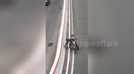 Newsflare Edit - Hero motorcyclist rescues injured puppy on busy road