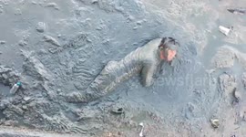 'Drunk' Thai man rescued from sinking mud after falling off pier