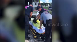 Firefighters rescue abandoned dog after the owners left it for dead