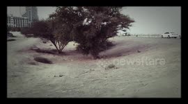 Chill out on the beach