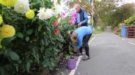 Couple told to remove flowerbeds they planted thirty years ago