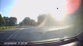 Brake check or Crash for Cash ?