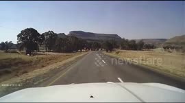 Wind causes tree to fall on moving vehicle