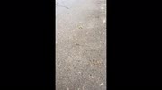temp