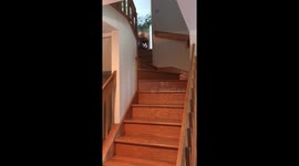 Mais of honour steals the show