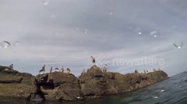 Capturing Cliff Diving Underwater with the GoPro