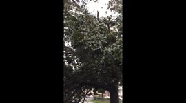 Riding out Hurricane Florence