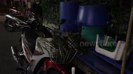 Kittens exploring a motorcycle basket