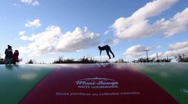 YouTuber dad tries to impress kids by doing backflips on inflatable fun pad