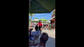 Shake it : vacation current mood