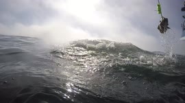 White shark suspended in air in South Africa! These sharks can jump!