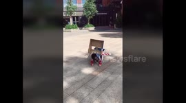 Little boy 'transforms' himself  into police car