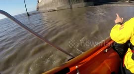 RNLI rescue pooch struggling to swim to safety