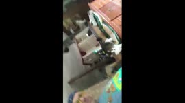 Dog pushes owner outside.