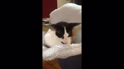 temp