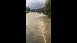 People driving drowning cars