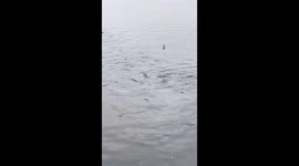 Super fishing in Lithuania