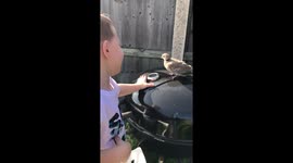 3 year old boy finds a baby dove in garden