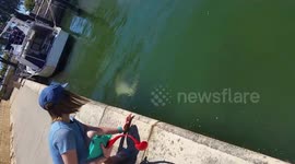 Crazy Dolphin Fishing!