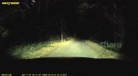 Deer running along infront of my car near Warwick